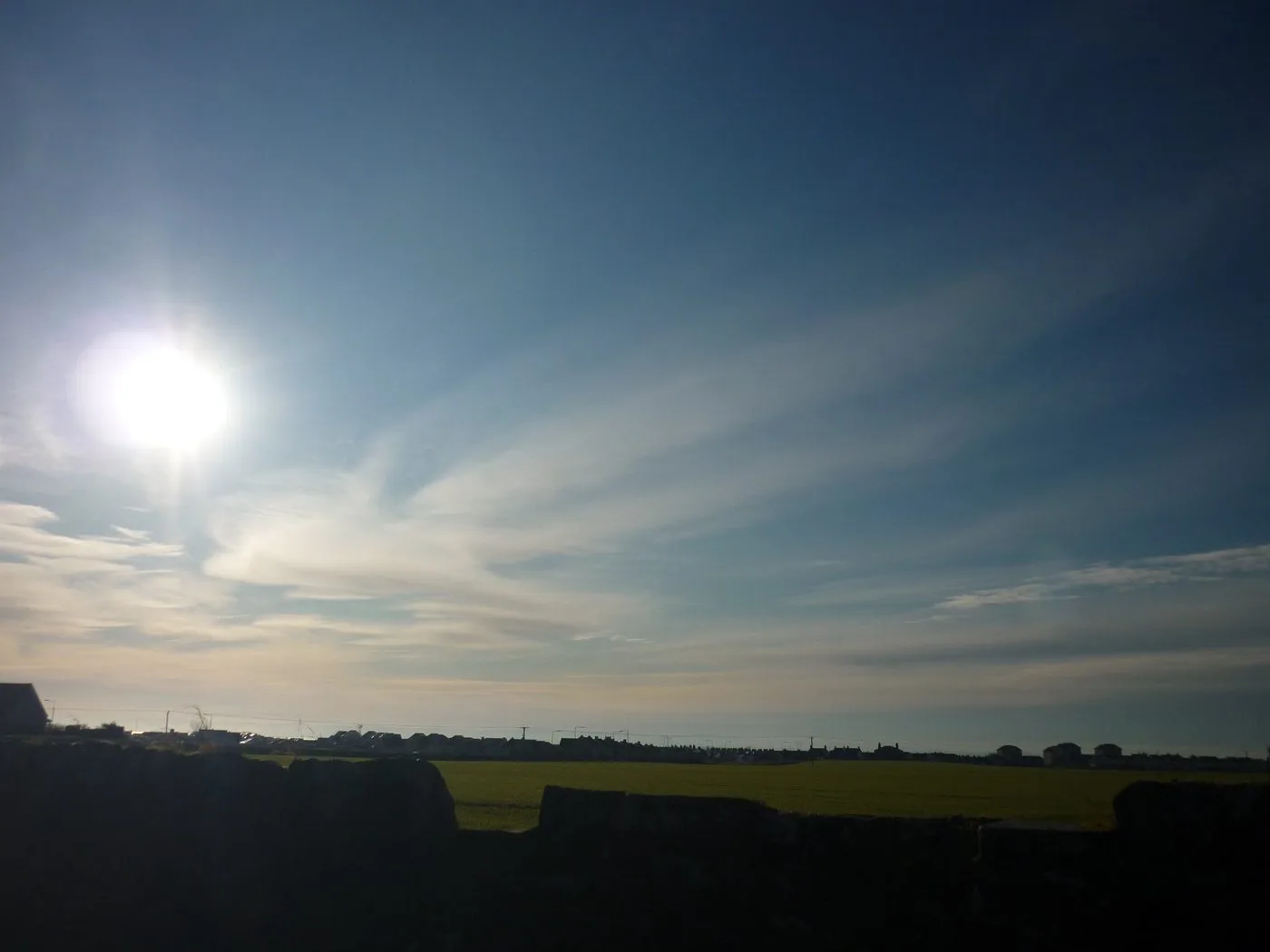 an expat in paris — essay by David Moran