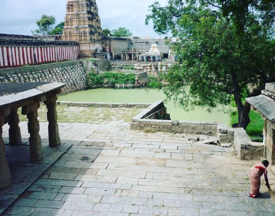 an honest pursuit — essay by David Moran