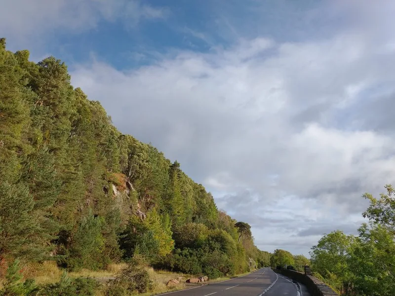 Scottish Highland road — poem from Glasgow by David Moran