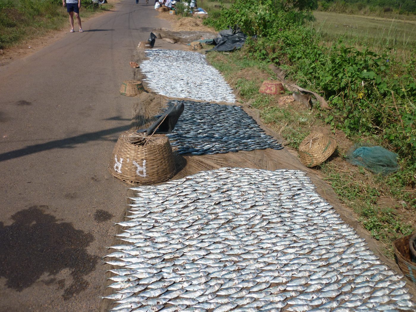 India passing through