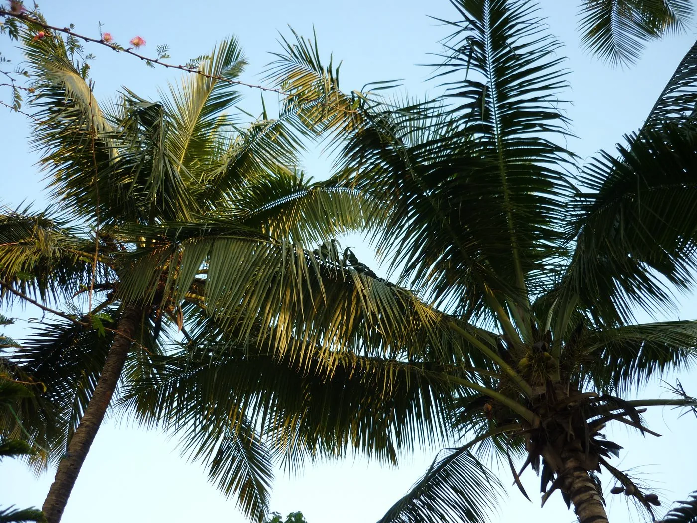 India on the road