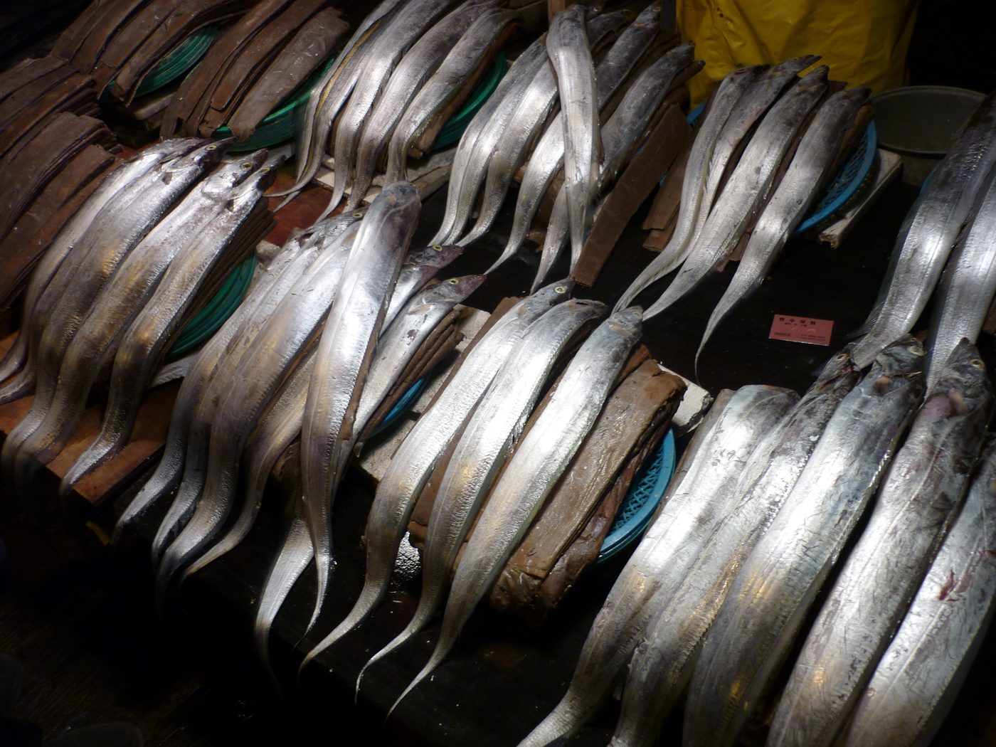 Busan passing through