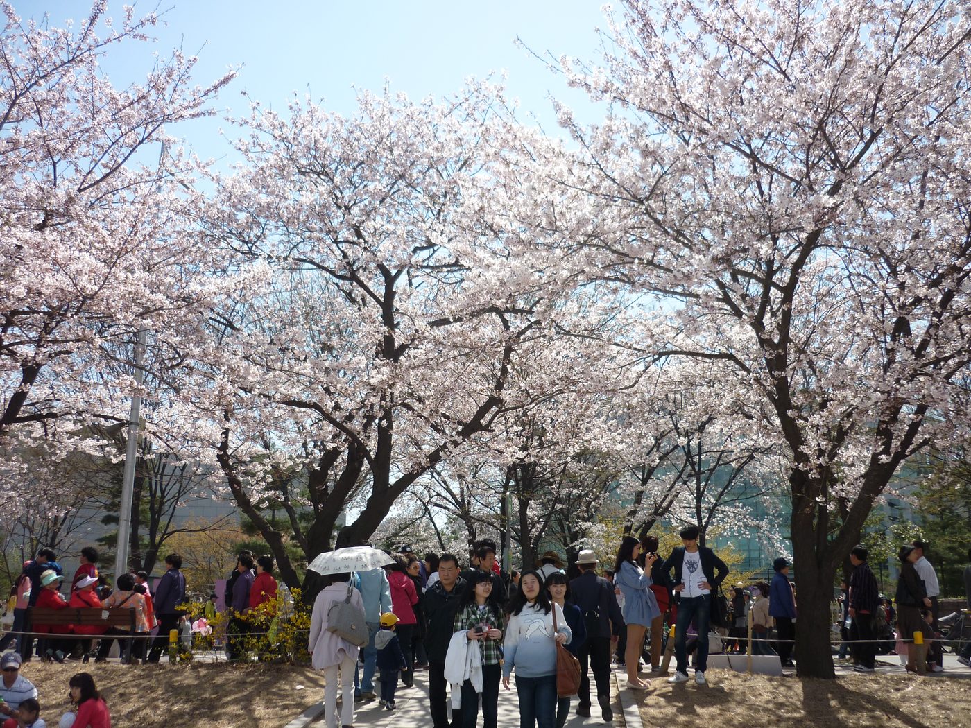 Seoul passing through
