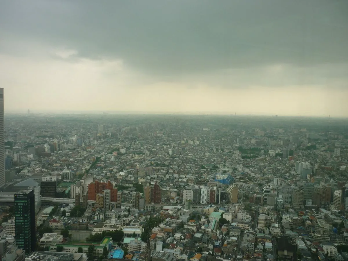 Tokyo from above