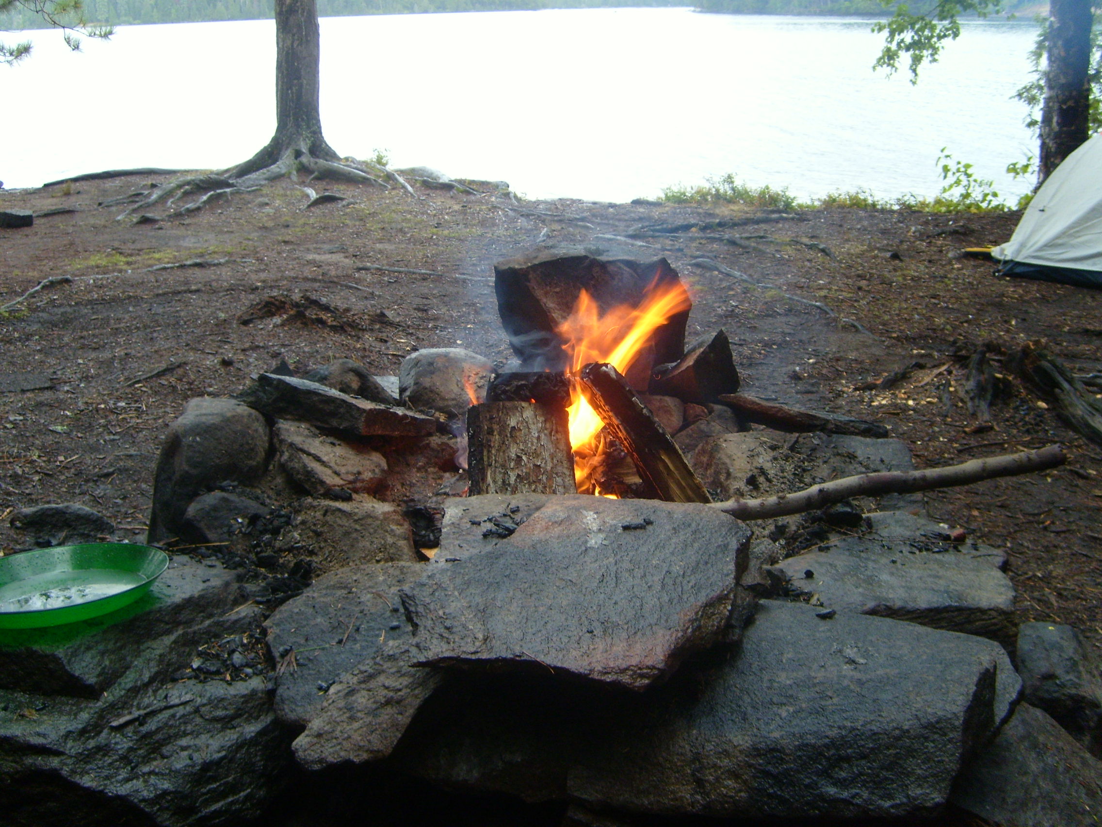 Original short fiction by David Moran, a supermarket queue and the camping trip that returns to the narrator's mind