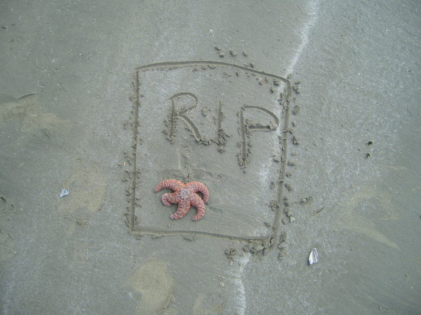 Scotland passing through