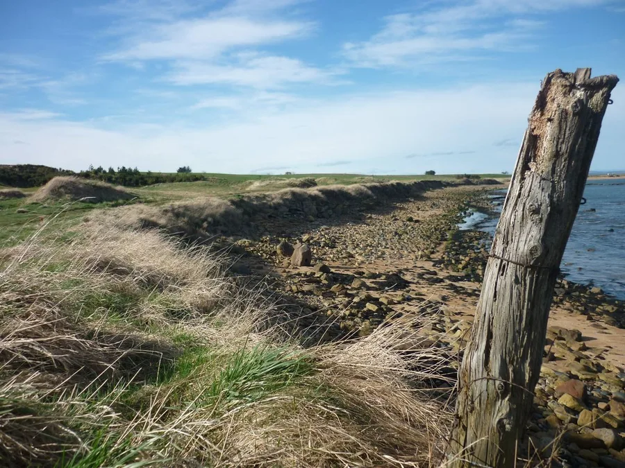 Mature indiscretions — poem